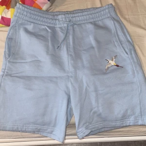 Ljusblå shorts från Axel Arigato - Säljer ett par ljusblå shorts från Axel Arigato med broderad fågel på ena benet. Shortsen har snörning i midjan och sidofickor. Perfekta för sommaren och riktigt sköna att ha på sig.