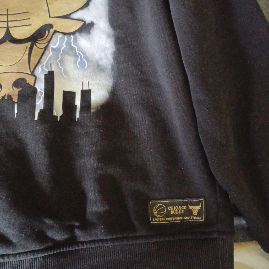 Svart Chicago Bulls sweatshirt från NBA - 2