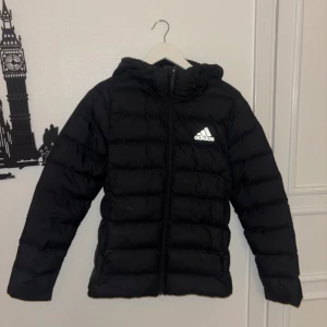 Svart dunjacka från Adidas - Säljer en svart dunjacka från Addidas. OBS har en liten fläck vid kragen!