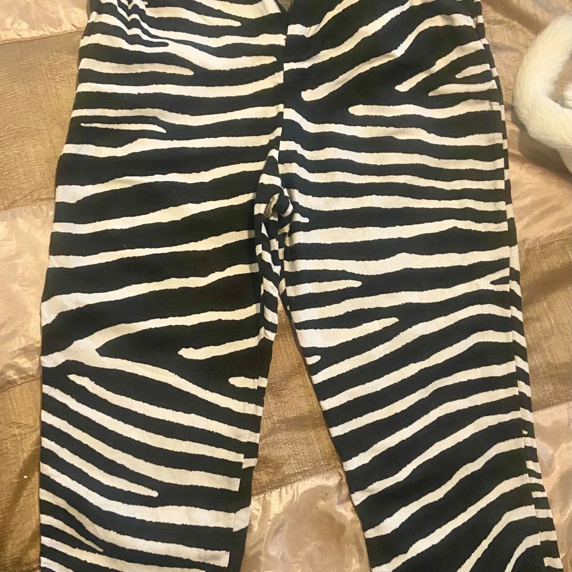 Zebramönstrade byxor - 1