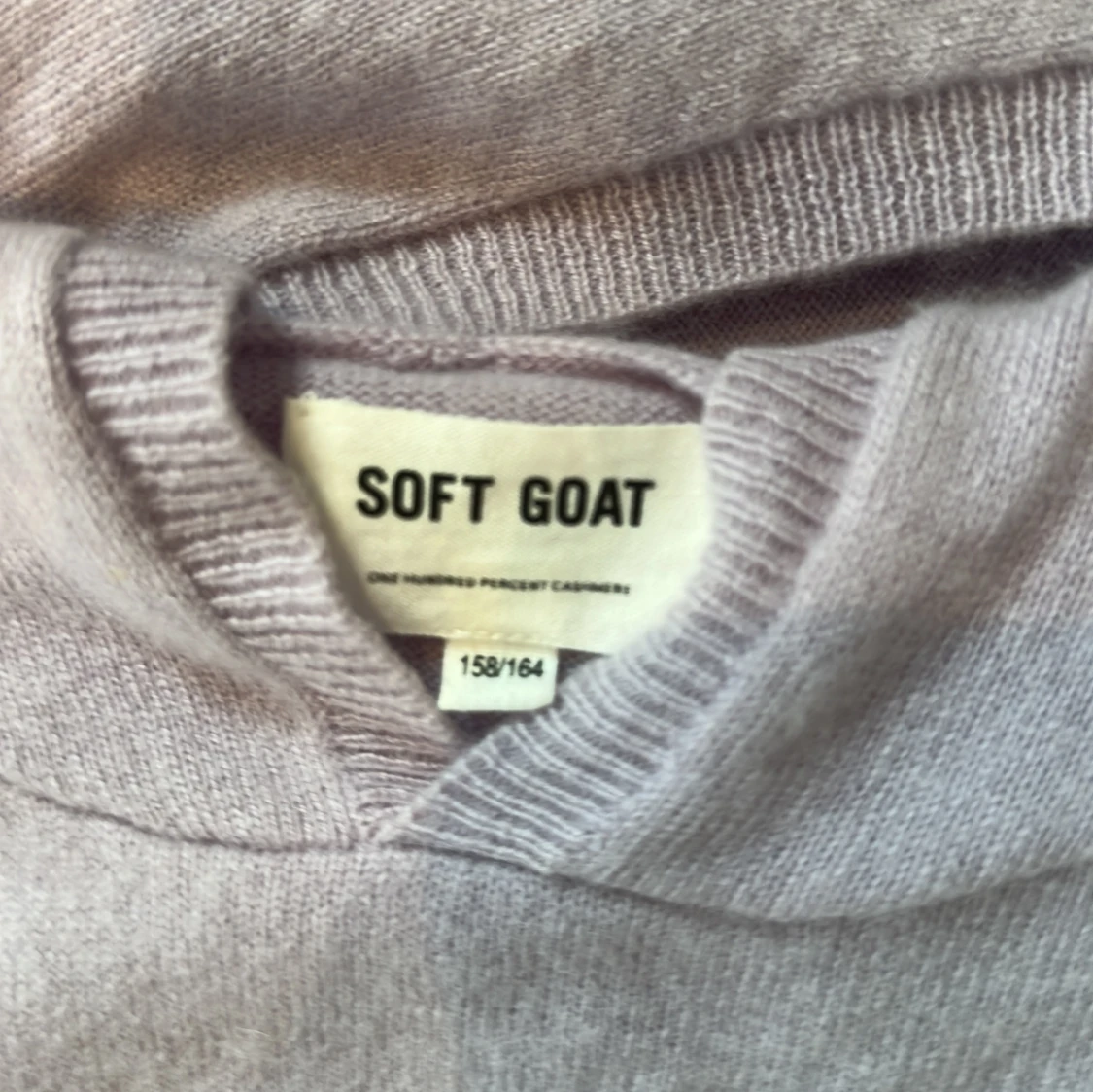 Soft Goat hoddie  - 2