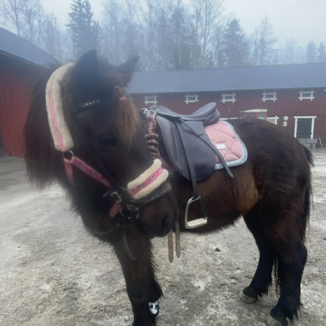 Fint es schabrak!💓 - 1