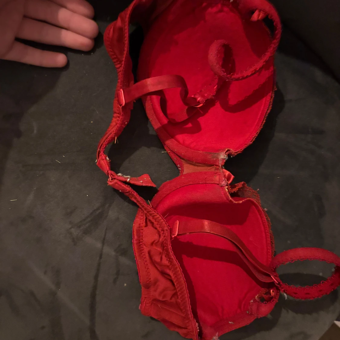 Röd spets-bh med rosett - 1