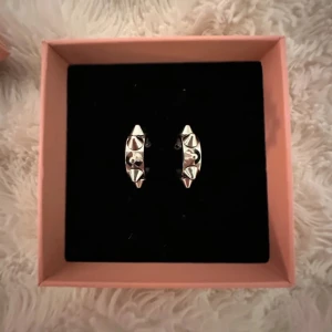 Edblad Örhängen  - As snygga örhängen från edblad, köpt ganska nyligen men säljer pgr av att jag råkade beställa fel❤️