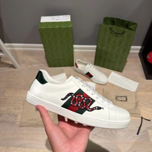 Gucci ace snake - Säljer nu ett par Gucci ace orm. Feta skor som passar till alla. Allt på bilderna ingår. Hör av er vid funderingar