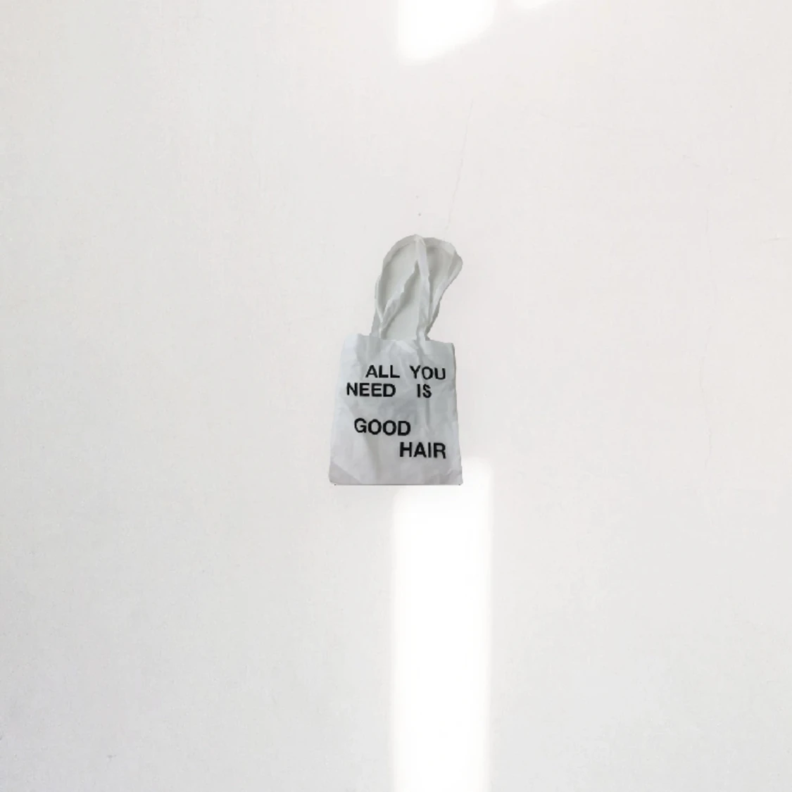 Påse ”all you need is good hair”