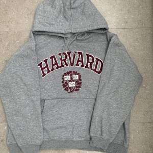 En oversized grå hoodie i otroligt mjukt material med Harvard loggan på.