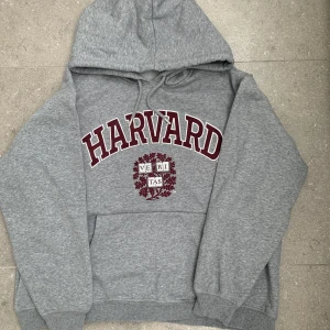 Oversized hoodie - En oversized grå hoodie i otroligt mjukt material med Harvard loggan på.
