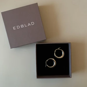 Edblad örhängen  - Superfina edblad örhängen i rostfritt stål!! Stilrena och passar till nästan allting. Har aldrig använd de då jag föredrar guld😊 