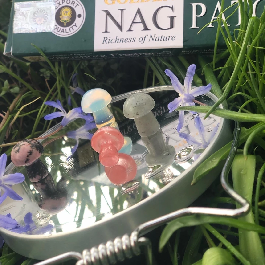 Kristall svampar 🍄  - 90