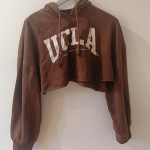 UCLA magtröja hoodie - Kort hoodie i bra skick anvend några gånger. 