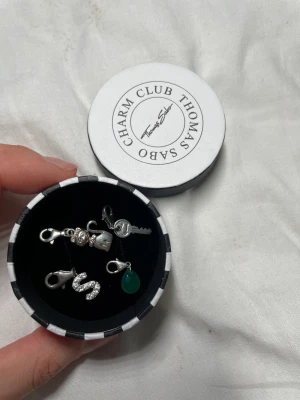 Berlocker  - Olika berlocker.  Använda Max 3gånger. Silver 925.  Paketpris 300kr + 29kr frakt.  OBS: S:et ÄR SÅLT. 