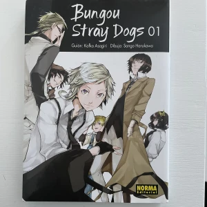 Bungou Stray Dogs Manga på Spanska - Volym 1 på Spanska. Fint skick.  Skickar fler bilder om önskas!  Tar endast swish.