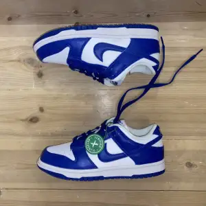 Nike SB dunks low, i royal blue. Helt oanvända, säkjer pga felköp. Inköpte och verifierade av stockX. Köpta för ca 6000. Storlek 37.5