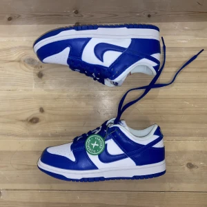 Nike SB dunk low - Nike SB dunks low, i royal blue. Helt oanvända, säkjer pga felköp. Inköpte och verifierade av stockX. Köpta för ca 6000. Storlek 37.5