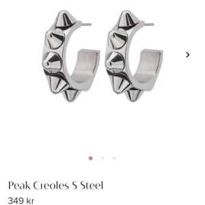 Edblad  - Edblad örhängen i jätte fint skick!