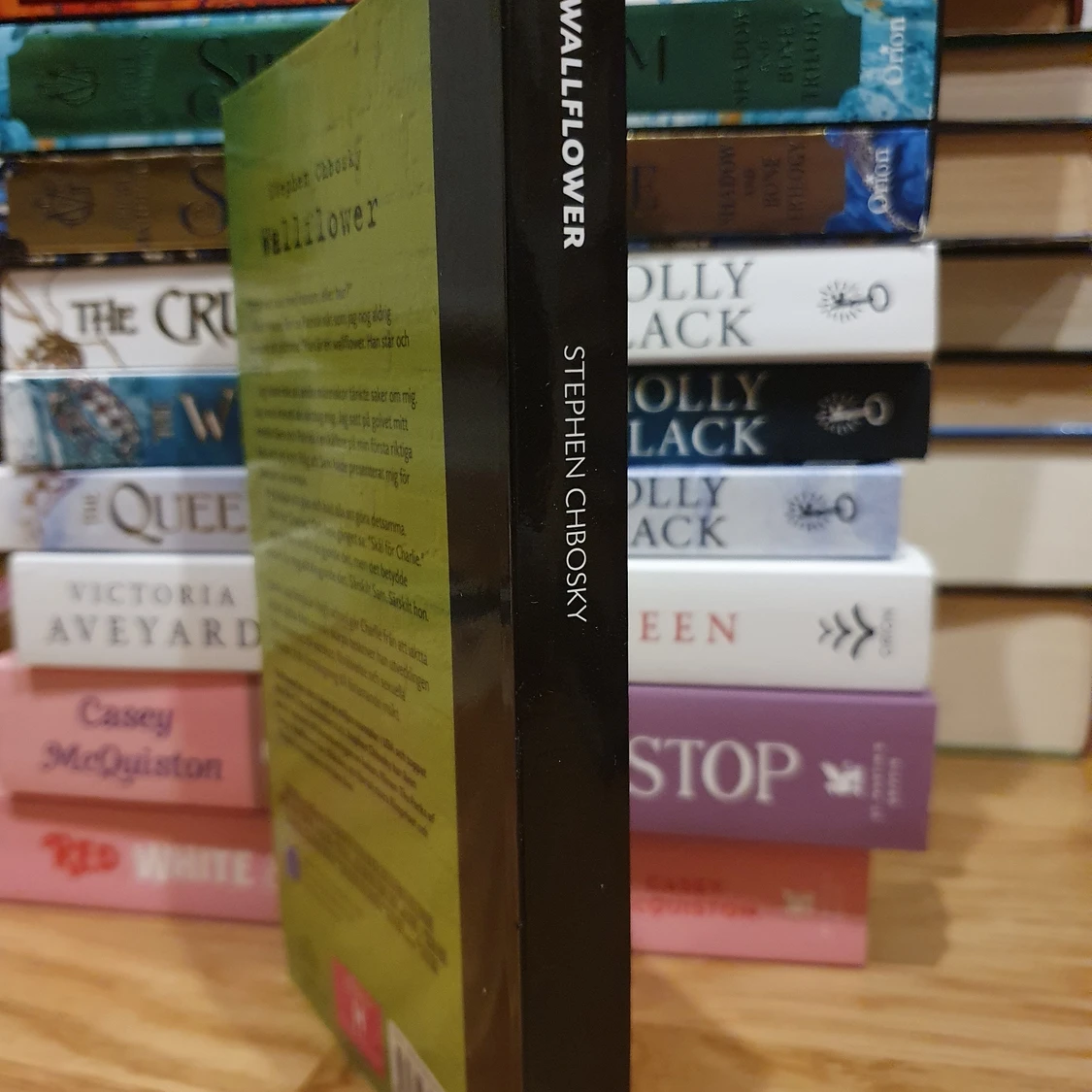 The Perks of Being a Wallflower - 91