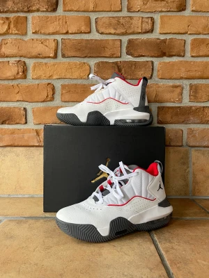 Jordan Stay Loyal (GS) - Jordans in great condition! 