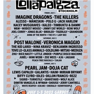 Söndag  - Lollapalooza biljett för söndagen, då jag inte kan gå. 