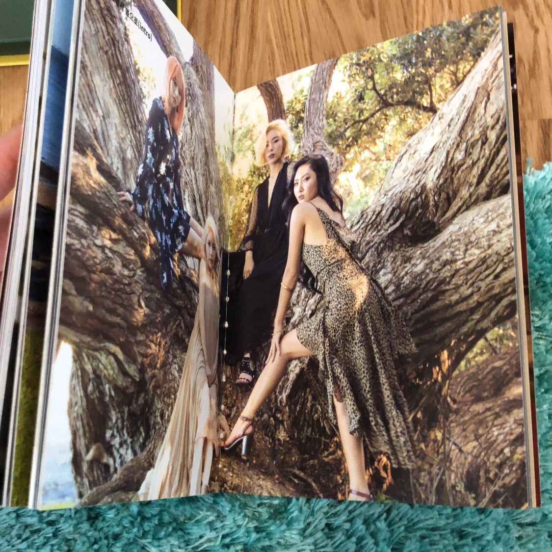 Mamamoo K-pop album  - 91