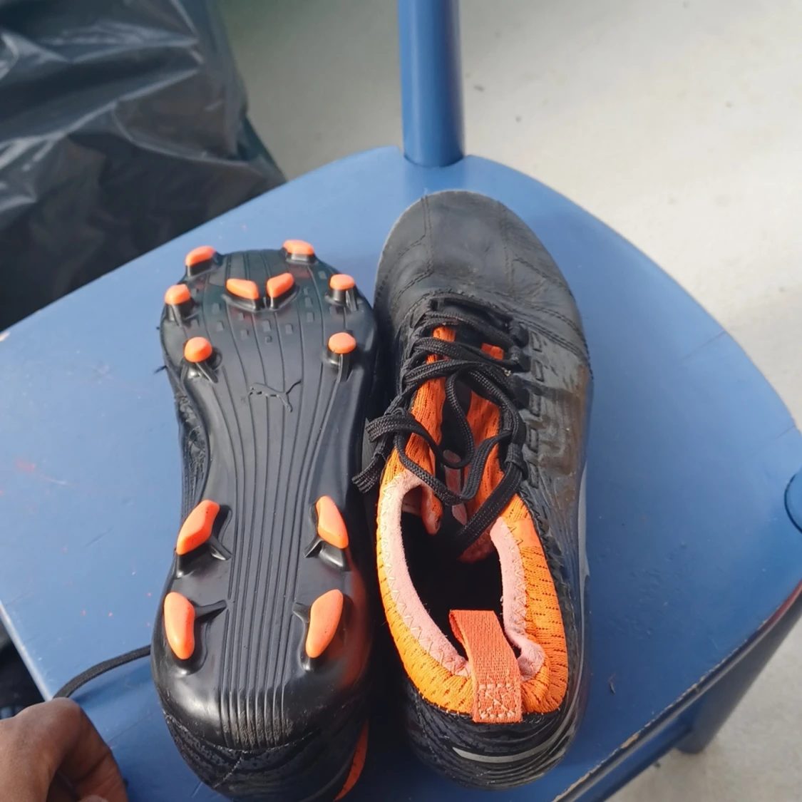 Puma (limited edition) - 91