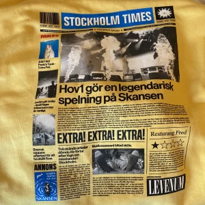 Hov1 hoodie - Funderar på att sälja min hoodie ifrån hov1s konsert på skansen. Limited edition. Oanvänd, endast testad. Strl M. Vid intresse så kontakta mig💗