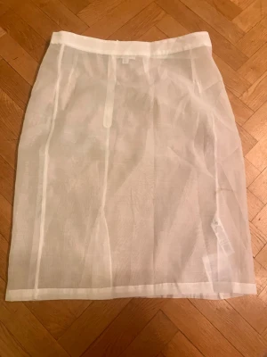 Vit transparent meshkjol - Säljer en vit, transparent meshkjol med rak passform och resår i midjan. Kjolen är knälång och har en enkel, minimalistisk design utan synliga detaljer. Perfekt att styla lager på lager för en trendig look. Det finns en fläck på kjolen men det syns inte på längre håll! Skriv gärna för mått! 💕