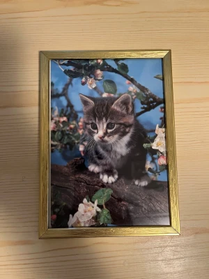 Tavla med kattunge i vintage ram - Storlek 18 cm x 13 cm.