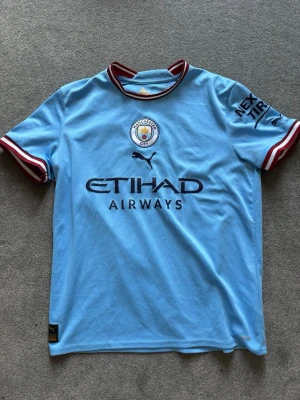 Manchester City matchtröja Puma - Ljusblå Manchester City matchtröja från Puma med klubbmärke på bröstet, sponsorlogga och svarta detaljer. Kragen och ärmsluten har rödvita ränder. Perfekt för fotbollsträning eller att bära på matchdag. Materialet är lätt och andas. Nice till sommaren.(pris kan diskuteras)