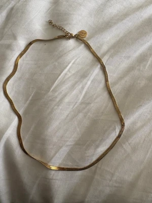 Edblad halsband - Säljer ett stilrent guldigt halsband från Edblad med platt kedja och justerbar längd. Halsbandet har en liten rund bricka med Edblad-loggan vid låset. Perfekt för att ge din look en elegant touch.