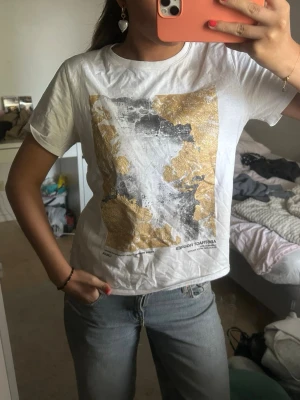 Cool t-shirt  - As snygg t-shirt från Zara !💕💕