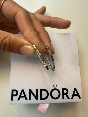 Silvriga örhängen  - Snygga silvriga örhängen i en modern, avlång hoops-design. Örhängena är dekorerade med gnistrande stenar längs framsidan som ger extra bling till din look. Perfekta för dig som gillar stilrena och trendiga accessoarer.