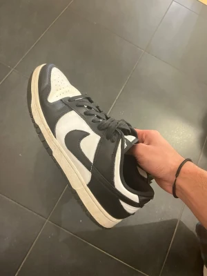 Nike Dunk skor  - STORLEK 44 passar 43. Är 43