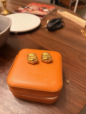 Örhängen - unika örhängen snygga örhängen som tyvärr bara blivit använda en gång 