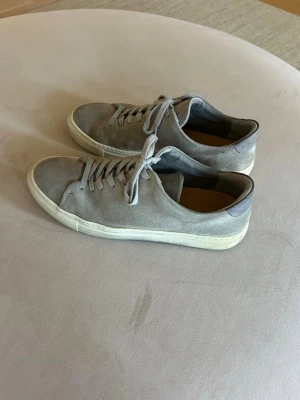 Gråa sneakers från Sneaky Steve - Snygga gråa sneakers från Sneaky Steve i mocka med vita sulor och klassisk låg profil. Skorna har rund tå, matchande grå skosnören och en stilren design som passar till det mesta. Perfekta för dig som gillar en clean och enkel look.