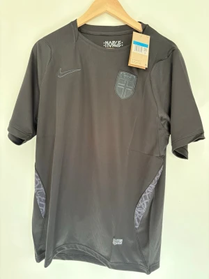 Grå Norge fotbollströja Nike - Snygg grå fotbollströja från Nike med Norge-emblem på bröstet och diskret Nike-logga. Tillverkad i Dri-FIT-material som andas, perfekt för träning eller match. Unika detaljer vid sidorna och modern passform.