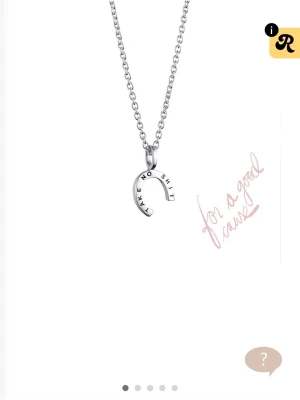 Halsband med hästsko från Efva Attling  - Snyggt halsband i silverfärg från Efva Attling med ett hästskoformat hänge. Hänget har texten 'TAKE NO SHIT' ingraverat och hänger på en tunn kedja. Aldrig använt med etiketter och låda med. Nypris 1500 