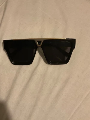 Louis Vuitton glasögon - LV glasögon använt ett fåtal gånger.