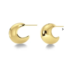 Edblad örhängen  - Örhängen från Edblad. Säljer då jag inte använder guld längre, jättefint skick men har inte kvar ask och blandat ihop plumparna med andra så de skickas utan💓