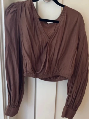 Brun blus  - Brun blus, tunt material och med en knapp i mitten. Kort i modellen 
