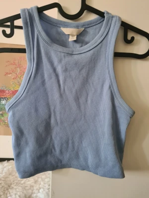 ribbad croppad linnetopp - Säljer en ljusblå ribbad croppad linnetopp från H&M i storlek XS. Toppen är ärmlös och har en tight passform med rund halsringning. Perfekt till sommaren och enkel att matcha med olika outfits.