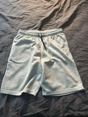 Grå sweatshorts med snörning - Säljer ett par grå sweatshorts från Champion med elastisk midja och svart snörning. Shortsens material är mjuk bomull och de har en avslappnad passform. Liten Champion-logga på vänster ben. Perfekta för chill eller träning. Storlek 15 år 2X-Large cm 174/179