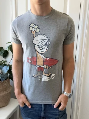 Hollister t-shirt  - Hollister t-shirt, Inga defekter! Modellen i bilderna är 180 cm 75 kg och bär Storlek m , Kom med frågor! 🌟 (Kan gå ned i pris vid köp av paket 😉) 