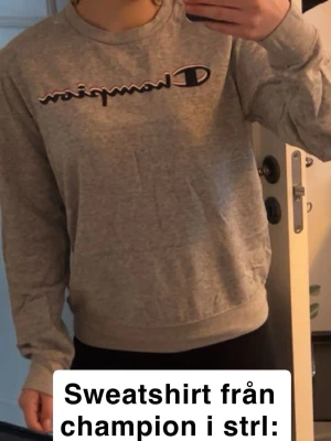 Grå sweatshirt från Champion - Säljer en grå sweatshirt från Champion med klassisk logga broderad i svart och vitt på bröstet. Tröjan har rund halsringning, långa ärmar och ribbade muddar vid ärmslut och nederkant. Perfekt för en avslappnad och sportig stil.
