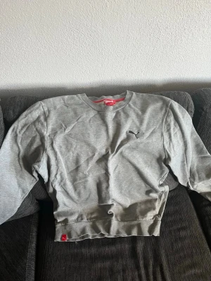 Grå sweatshirt från Puma - En stilren grå sweatshirt från Puma med rund halsringning och diskret Puma-logga broderad på bröstet. Tröjan har ribbade muddar vid ärmslut och nederkant. Perfekt för en avslappnad och sportig look.