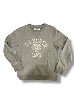 Abercrombie & Fitch collagetröja - Säljer en grå Abercrombie & Fitch collagetröja, bra skick förutom en liten fläck under 78 printet.   Mått: Längd: 63 cm Axelbredd: 42 cm  Skriv vid vidare funderingar