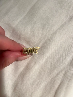 Guldring 2007 - Guldring