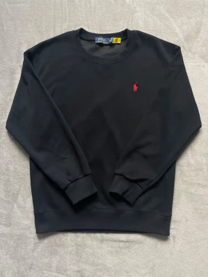 Ralph Lauren Tröja - Säljer denna sköna tröja från Ralph Lauren! Den är i storlek S men passar åt XS hållet! Fint skick och om du har frågor eller funderingar är det bara att skriva! 🙌