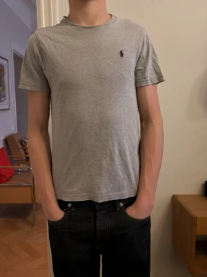 Grå t-shirt från Polo Ralph Lauren - Säljer en enkel men riktigt fet t shirt från Ralph Lauren! Den är väl använd och haft den ett par år. Inga defekter. Jag på bilden är runt 174 cm men rätt så smal. 😁Skriv till mig vid minsta fundering! /Gustav ✌️