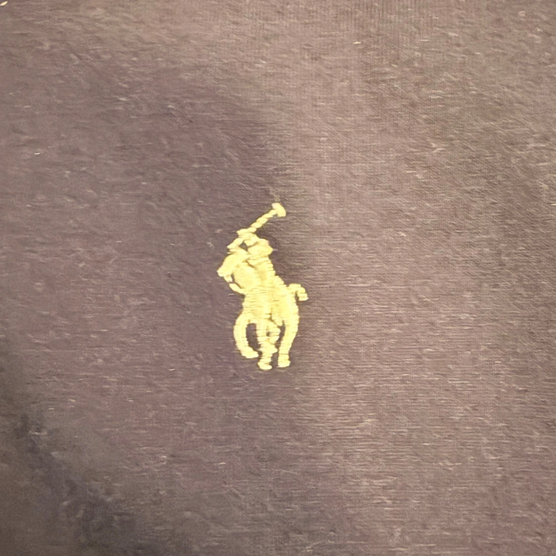 Marinblå hoodie från Polo Ralph Lauren - 2